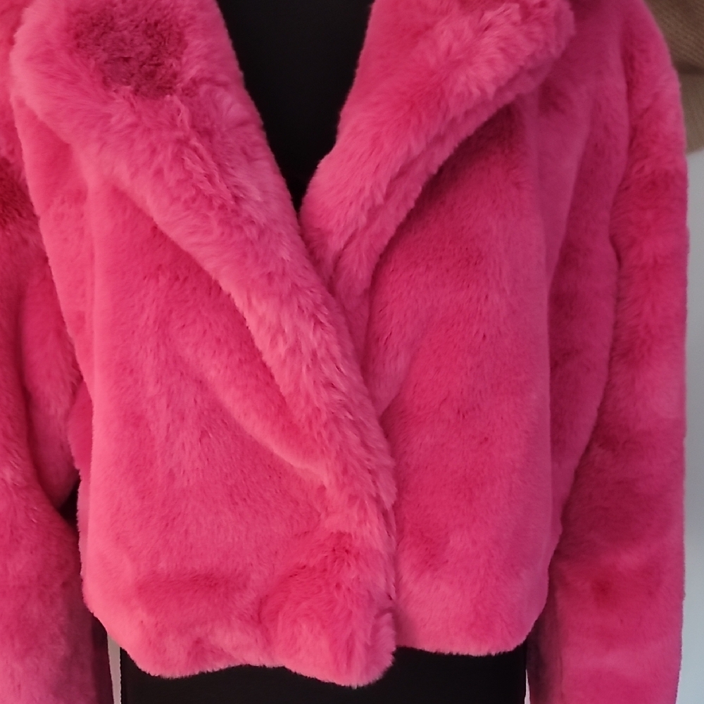 Forever 21 Pink Teddy Jacket - Picture 4 of 9